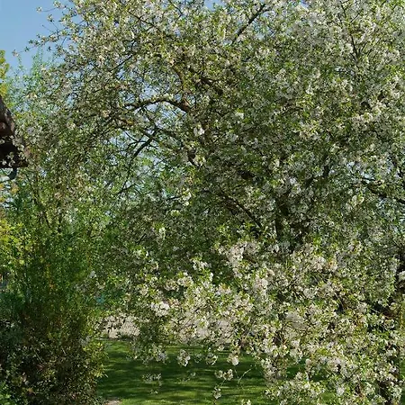 Les Rendzines Alojamento de Acomodação e Pequeno-almoço