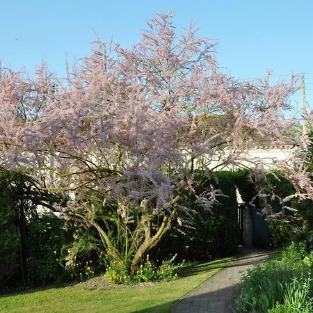 Bed & Breakfast Les Rendzines 3*