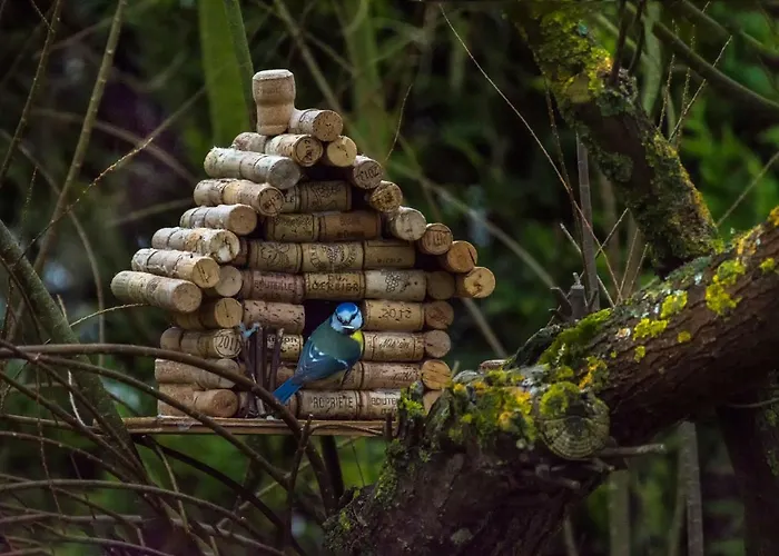 Les Rendzines 3* Nuisement-sur-Coole