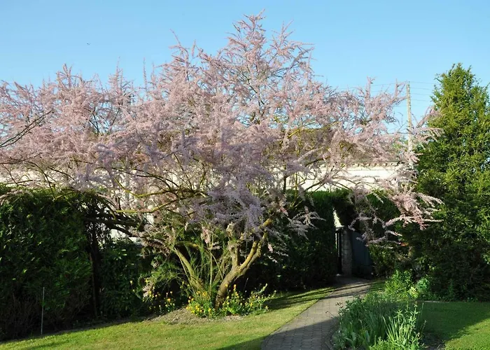 Bed & Breakfast Les Rendzines 3*